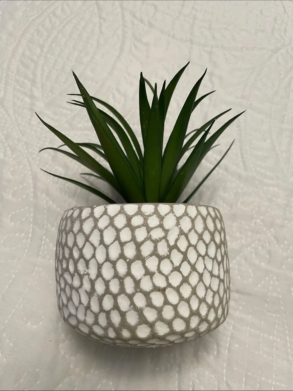 Artificial Faux Green Succulent Plant in Cement Pot Planter Excellent Condition